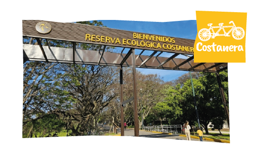 Costanera Sur